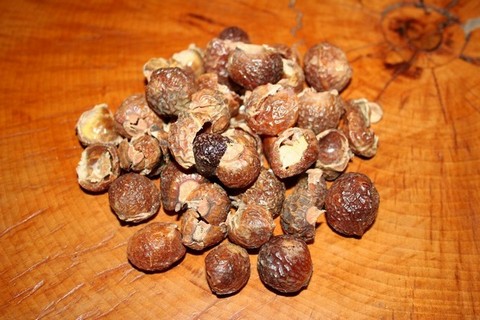 Mýdlové ořechy 1000g